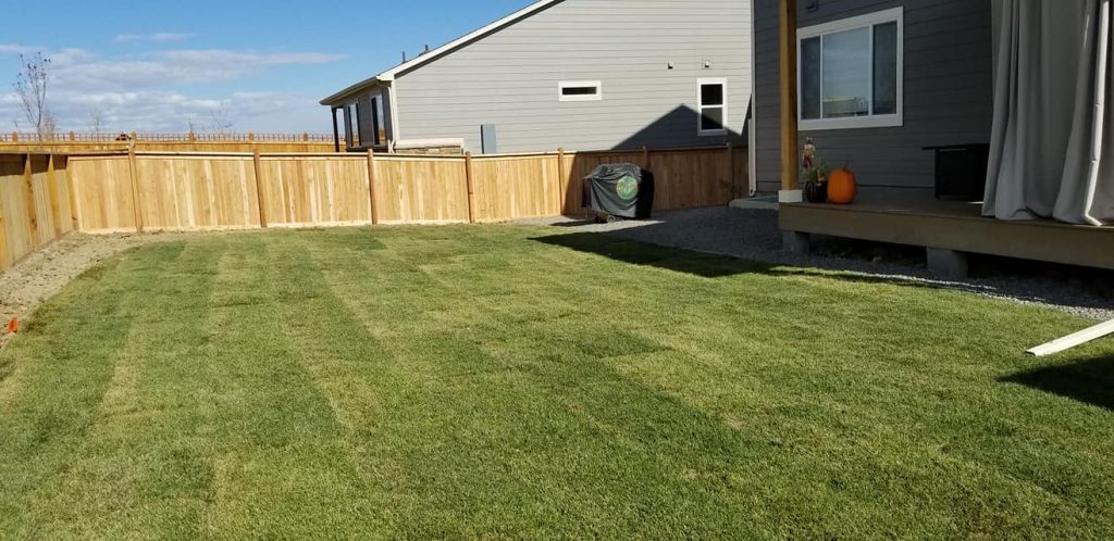 Freshly installed green sod in a fenced backyard next to a house deck.