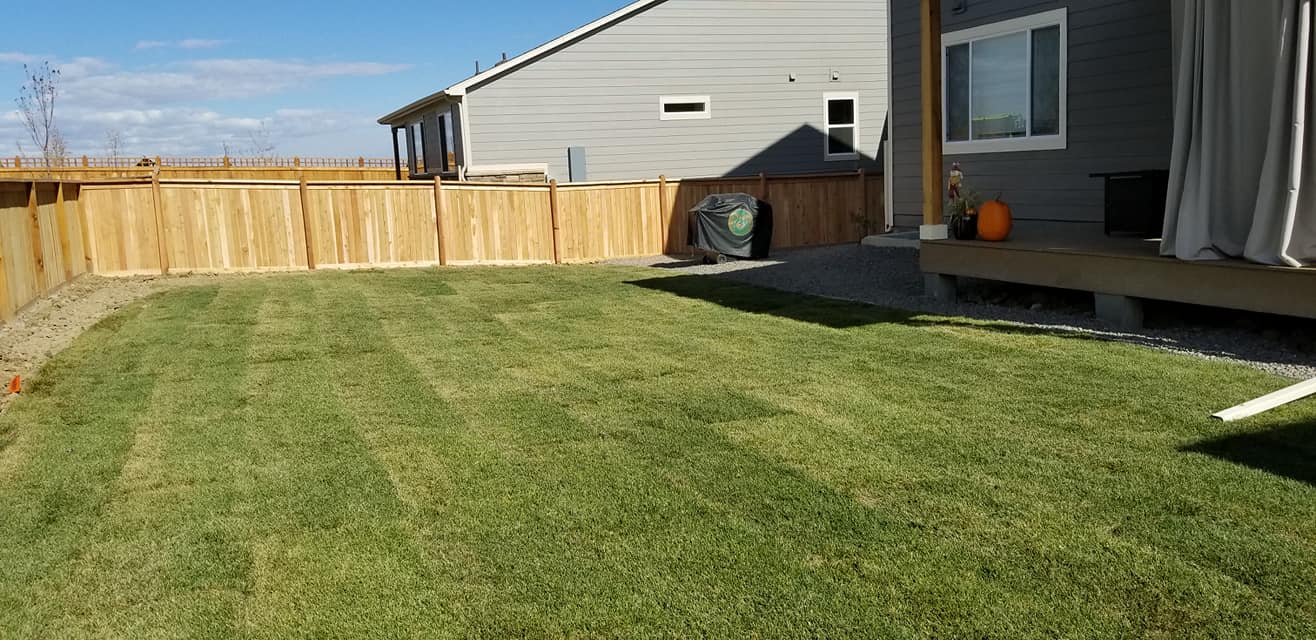 Freshly installed green sod in a fenced backyard next to a house deck.